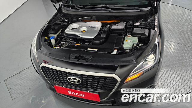 Hyundai Sonata Hybrid (LF) 2.0 HEV Premium 2016 — фото 6
