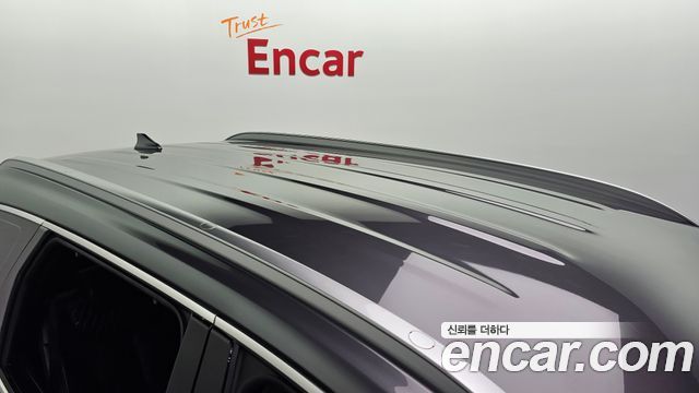 Hyundai Santa Fe (TM) Gasoline 2.0T 2WD Exclusive Special 2019 — фото 32