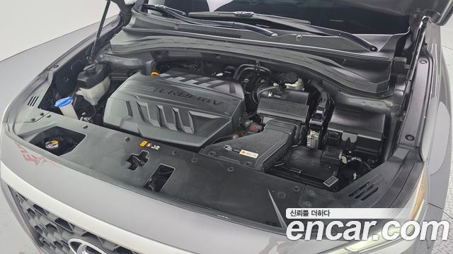 Hyundai Santa Fe (TM) Diesel 2.0 2WD Exclusive 2019 — фото 6