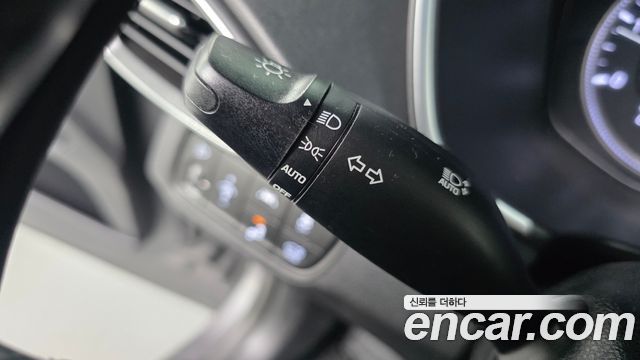 Hyundai Santa Fe (TM) Diesel 2.0 2WD Exclusive 2019 — фото 30