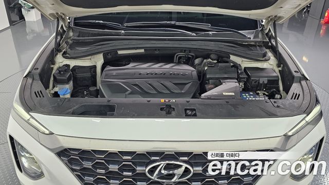 Hyundai Santa Fe (TM) Diesel 2.2 4WD Prestige 2019 — фото 6