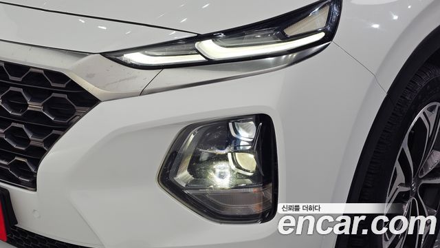 Hyundai Santa Fe (TM) Diesel 2.2 4WD Prestige 2019 — фото 22