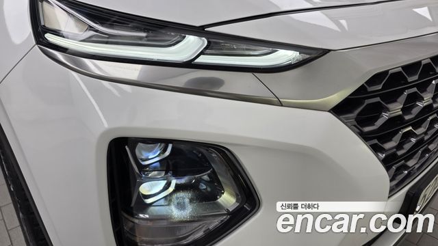 Hyundai Santa Fe (TM) Diesel 2.0 2WD Prestige 2019 — фото 22