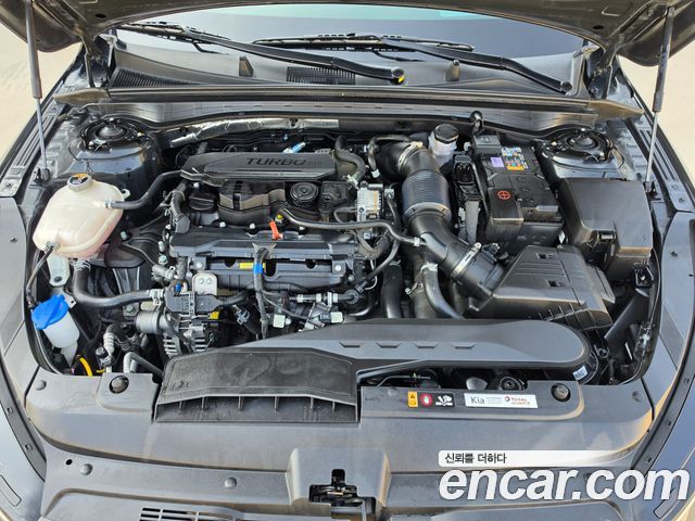 Kia K5 (III) 1.6 Turbo Noblesse 2024 — фото 7