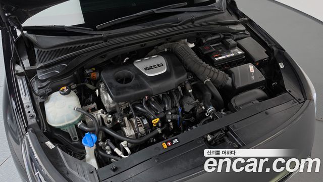 Hyundai i30 (PD) 1.6 Turbo N Line 2019 — фото 6