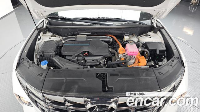 Hyundai Tucson Hybrid (NX4) Premium 2WD 2023 — фото 6