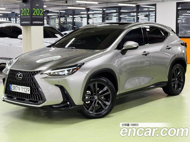 Lexus NX350h (II) Premium