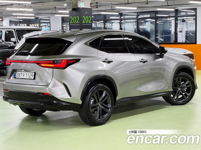 Lexus NX350h (II) Premium 2026 — фото 2