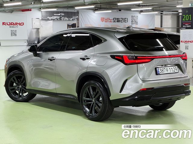 Lexus NX350h (II) Premium 2026 — фото 3