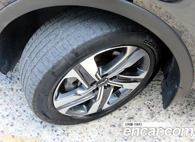 Kia Sorento (IV) HEV 1.6 2WD Noblesse 2023 — фото 24