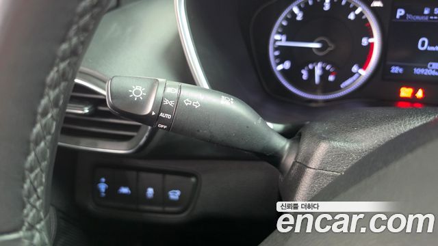 Hyundai Santa Fe (TM) Diesel 2.0 2WD Exclusive 2020 — фото 31