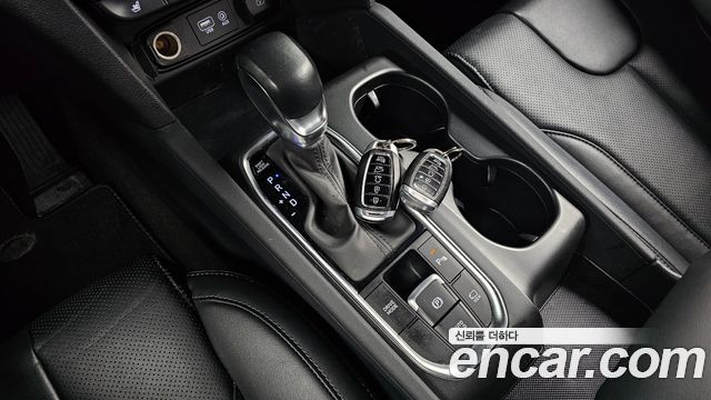 Hyundai Santa Fe (TM) Gasoline 2.0T 2WD Exclusive 2020 — фото 9