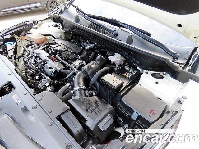 Kia Sportage (V) Gasoline 1.6 Turbo 2WD Nobleless 2022 — фото 6