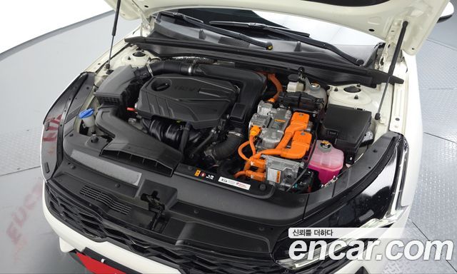 Kia K5 Hybrid (III) Trendy 2023 — фото 6