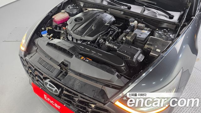 Hyundai Sonata (DN8) 2.0 Premium Plus 2023 — фото 6