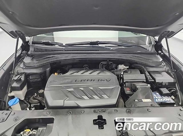 Hyundai Santa Fe (TM) Diesel 2,0 4WD Premium 2019 — фото 5