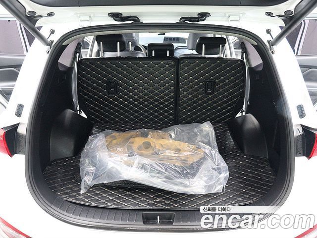 Hyundai Santa Fe (TM) Gasoline 2.0T 2WD Inspiration 2019 — фото 24