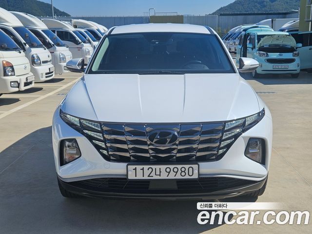 Hyundai Tucson (NX4) Gasoline 1.6 Turbo 2WD Modern 2023 — фото 2