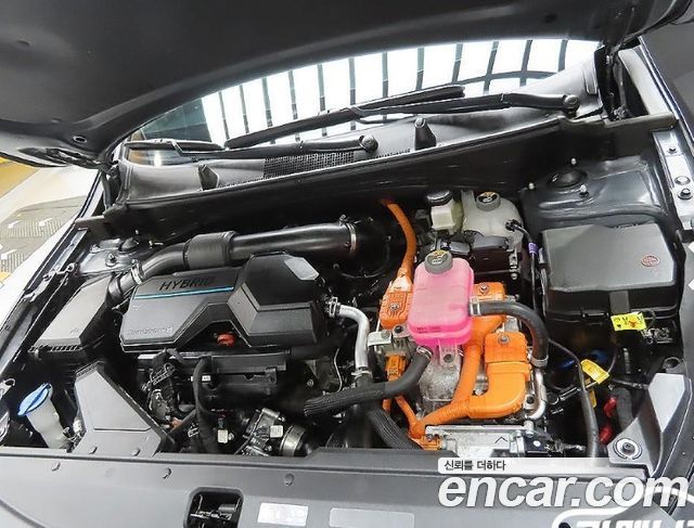 Kia Sportage Hybrid (V) Signature 2WD 2024 — фото 6