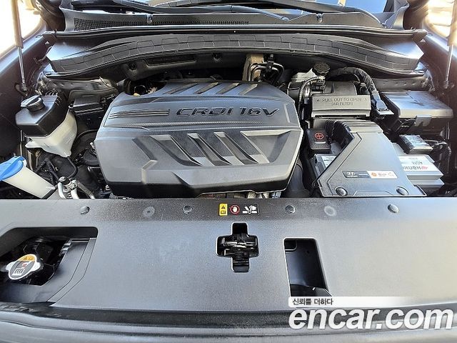 Hyundai Santa Fe (TM) Diesel 2.0 2WD Exclusive 2019 — фото 6
