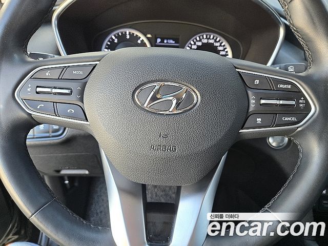Hyundai Santa Fe (TM) Diesel 2.0 2WD Exclusive 2019 — фото 13
