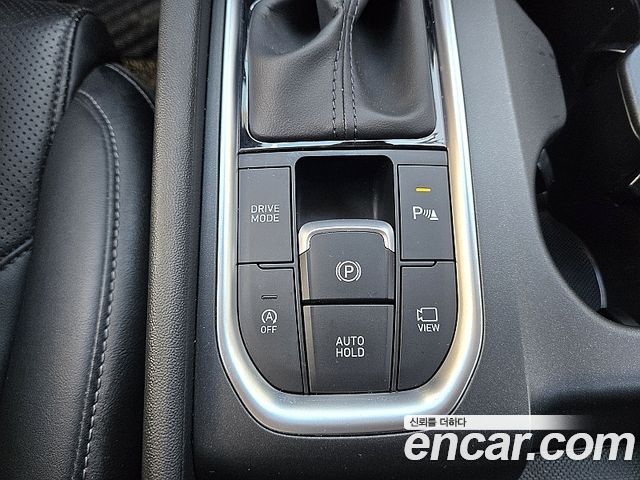 Hyundai Santa Fe (TM) Diesel 2.0 2WD Exclusive 2019 — фото 15