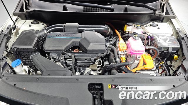 Kia Sportage Hybrid (V) Nobleless 2WD 2024 — фото 6