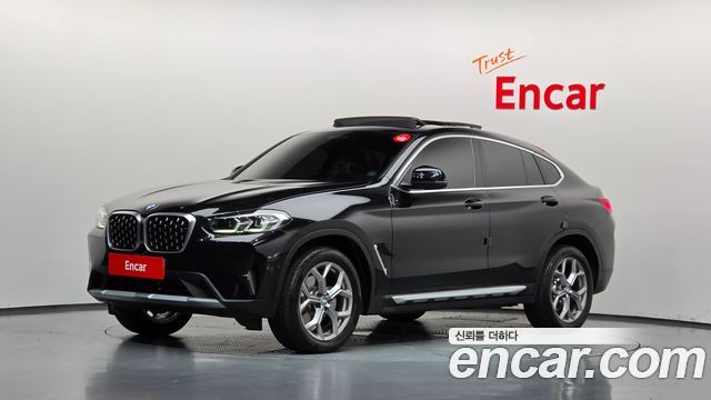 BMW X4 (G02) xDrive20i xLine