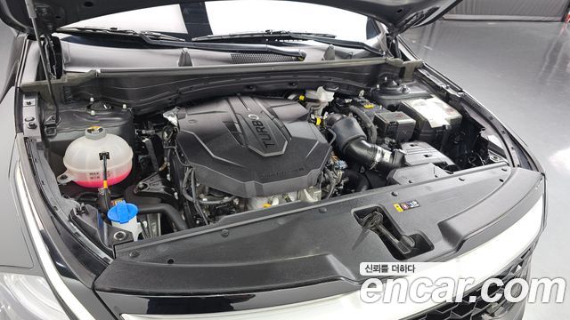 Kia Sportage (V) Diesel 2.0 2WD Trendy 2023 — фото 6
