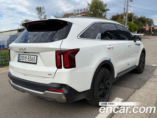Kia Sorento (IV) HEV 1.6 2WD Noblesse 2024 — фото 5