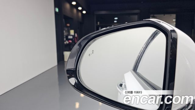 Hyundai Santa Fe (TM) Gasoline 2.0T 4WD Prestige 2020 — фото 29