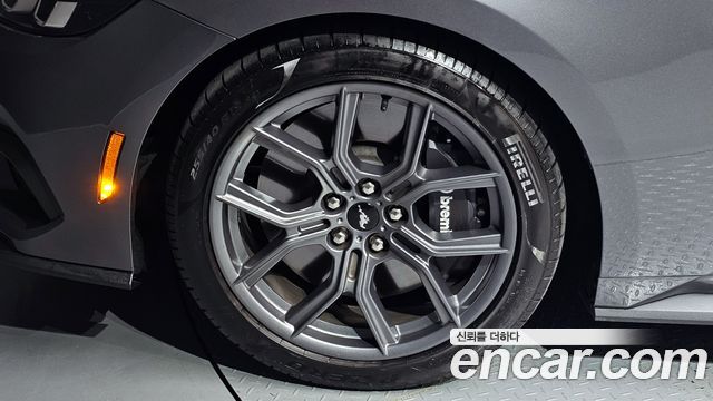 Ford Mustang (VII) 2.3 Ecoboost Premium Convertible 2024 — фото 5