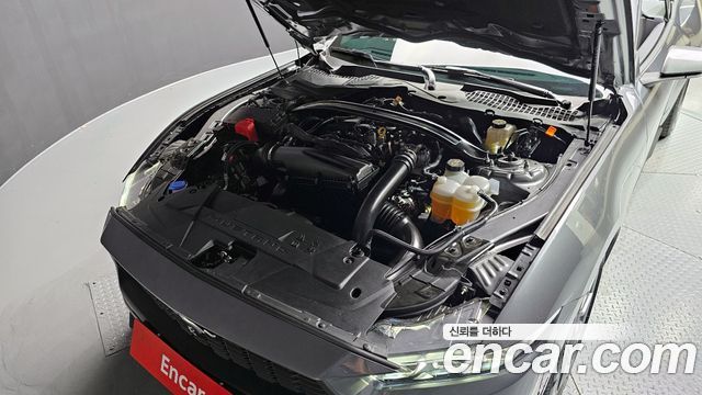 Ford Mustang (VII) 2.3 Ecoboost Premium Convertible 2024 — фото 6