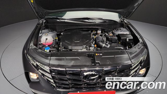 Hyundai Tucson (NX4) Diesel 2.0 4WD Premium 2023 — фото 6