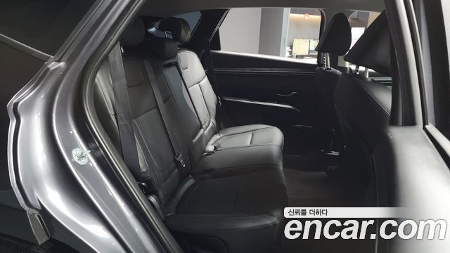 Hyundai Tucson (NX4) Diesel 2.0 4WD Premium 2023 — фото 12