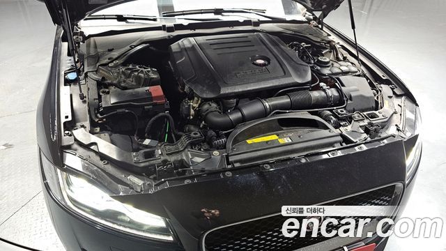 Jaguar XF (X260) 20d Prestige AWD 2019 — фото 6