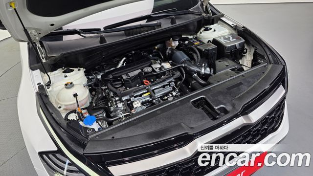 Kia Sportage (V) Gasoline 1.6 Turbo 2WD Nobleless Gravity 2023 — фото 6