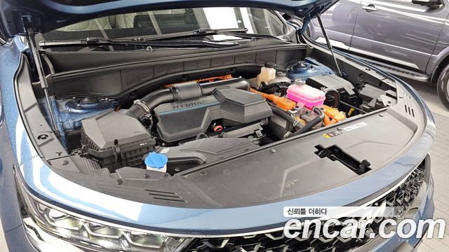 Kia Sorento (IV) HEV 1.6 2WD Noblesse 2023 — фото 6