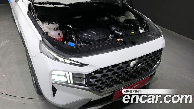 Hyundai Santa Fe Diesel 2.2 2WD Exclusive 2023 — фото 6