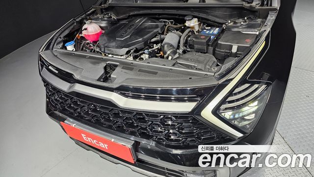Kia Sportage (V) Diesel 2.0 4WD Nobleless Gravity 2022 — фото 6