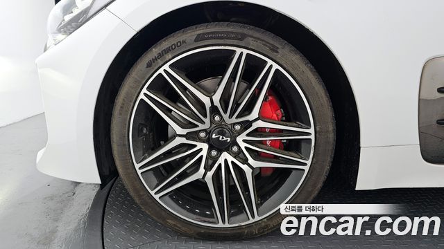 Kia Stinger Meister 2.5 AWD Masters 2023 — фото 5