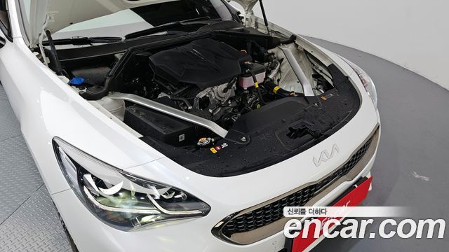Kia Stinger Meister 2.5 AWD Masters 2023 — фото 6