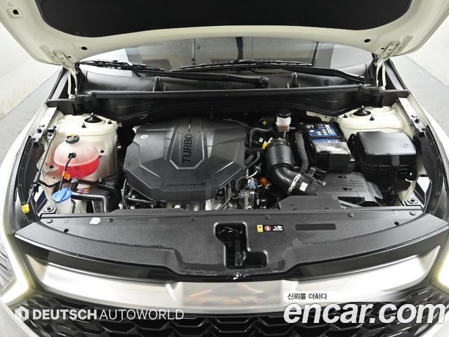 Kia Sportage (V) Diesel 2.0 2WD Prestige 2023 — фото 6