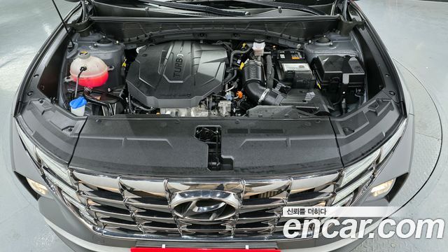 Hyundai Tucson (NX4) Diesel 2.0 2WD Modern 2022 — фото 6