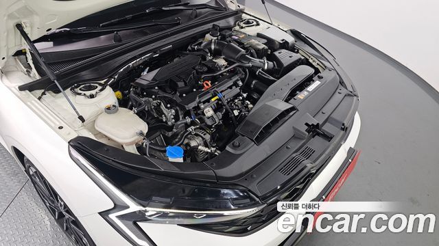 Kia K5 (III) 1.6 Turbo Noblesse 2024 — фото 6