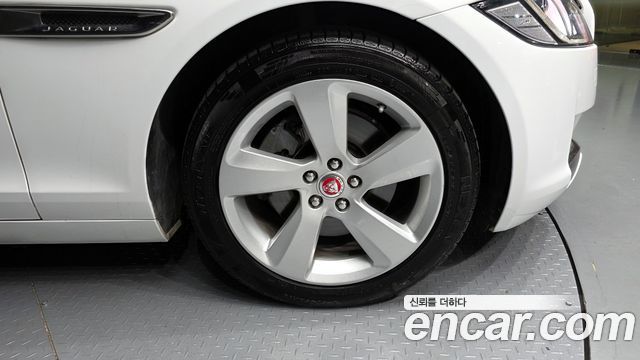 Jaguar XF (X260) 20d Prestige AWD 2018 — фото 5