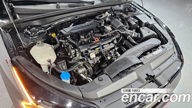 Kia K5 (III) 1.6 Turbo Noblesse 2024 — фото 6