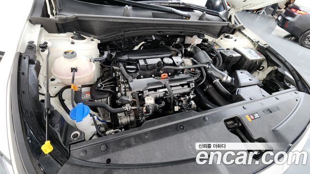 Kia Sportage (V) Gasoline 1.6 Turbo 2WD Prestige 2022 — фото 6