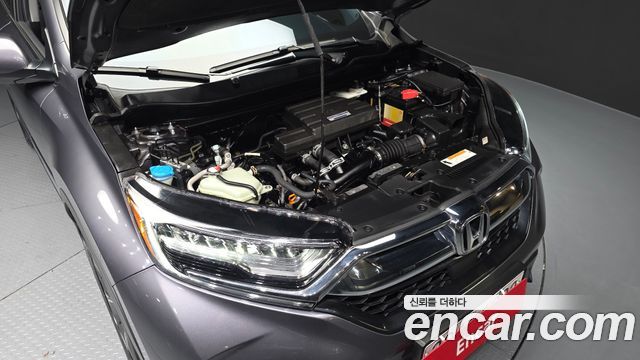 Honda CR-V (V) 1.5 EX-L 2WD 2019 — фото 6