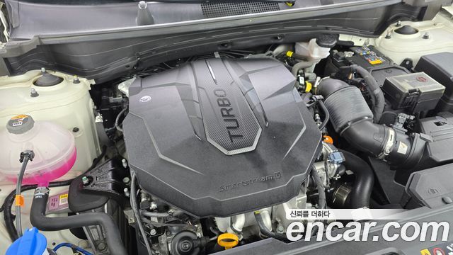 Kia Sportage (V) Diesel 2.0 2WD Nobleless 2023 — фото 6